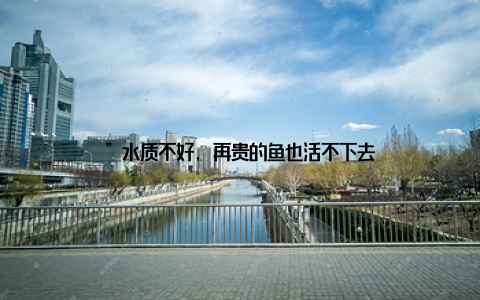 ”水质不好, 再贵的鱼也活不下去