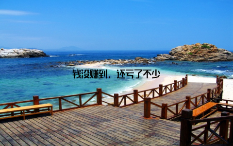 钱没赚到, 还亏了不少
