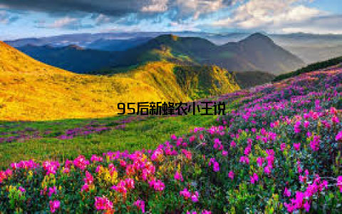 95后新蜂农小王说
