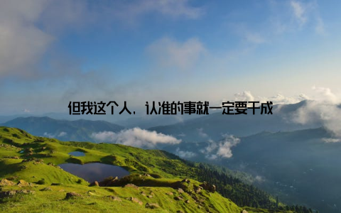 但我这个人, 认准的事就一定要干成