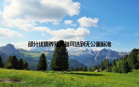 部分优质养殖黄鱼可达到无公害标准