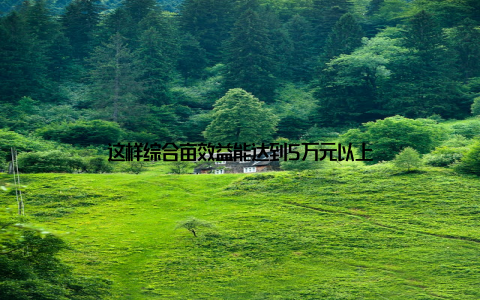 这样综合亩效益能达到5万元以上