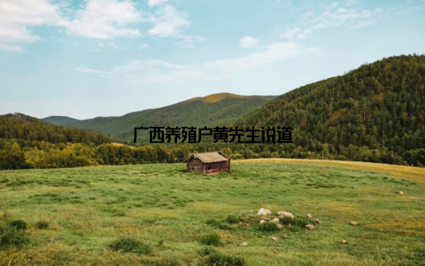 广西养殖户黄先生说道