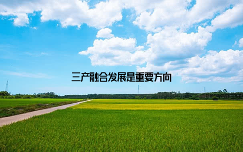 三产融合发展是重要方向