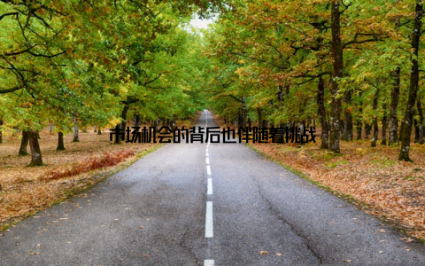 市场机会的背后也伴随着挑战