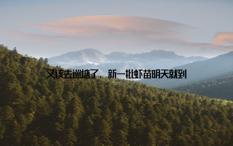 又该去巡塘了, 新一批虾苗明天就到