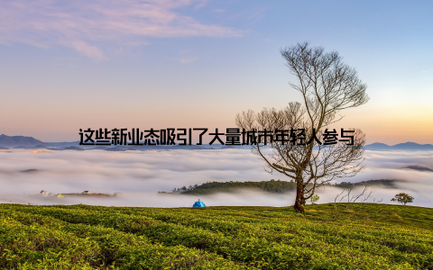 这些新业态吸引了大量城市年轻人参与