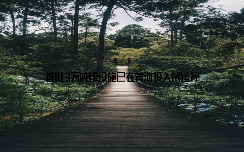 首批3万吨级设施已在黄海投入试运行