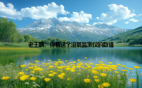 老王啊, 你看这个溶氧监测仪的数值