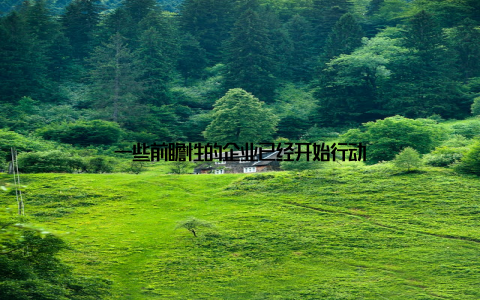 一些前瞻性的企业已经开始行动