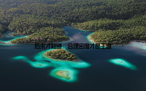 后来才知道, 合理密度才是王道