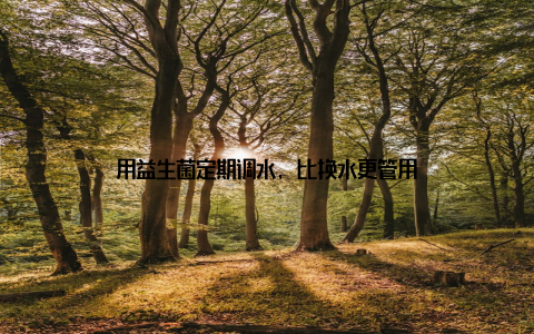 用益生菌定期调水, 比换水更管用