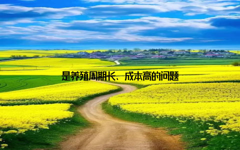 是养殖周期长、成本高的问题