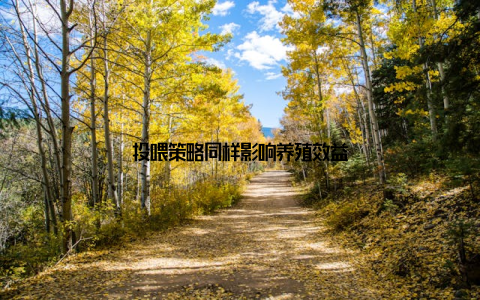 投喂策略同样影响养殖效益