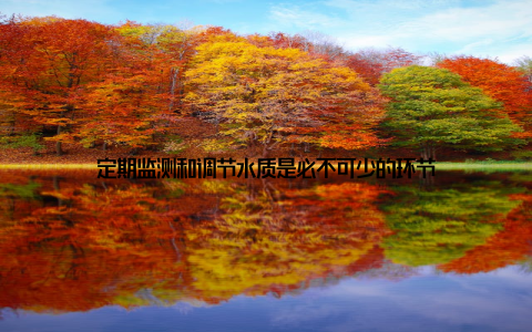 定期监测和调节水质是必不可少的环节