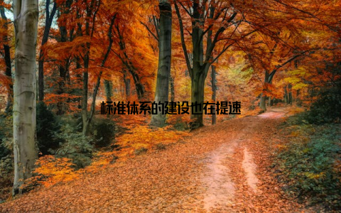 标准体系的建设也在提速