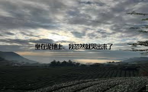 坐在泥地上, 我忽然就哭出来了