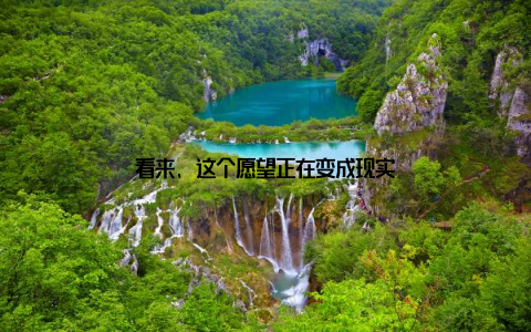 看来, 这个愿望正在变成现实
