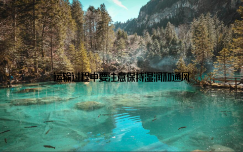 运输过程中要注意保持湿润和通风