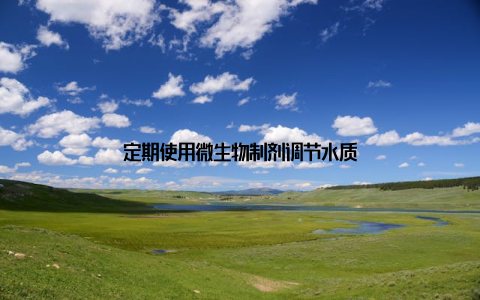 定期使用微生物制剂调节水质