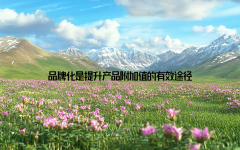 品牌化是提升产品附加值的有效途径