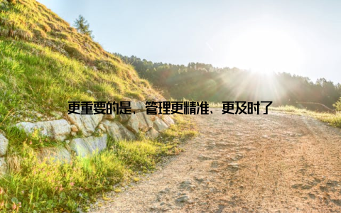 更重要的是, 管理更精准、更及时了
