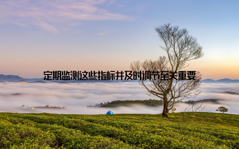 定期监测这些指标并及时调节至关重要