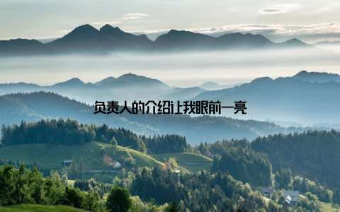 负责人的介绍让我眼前一亮