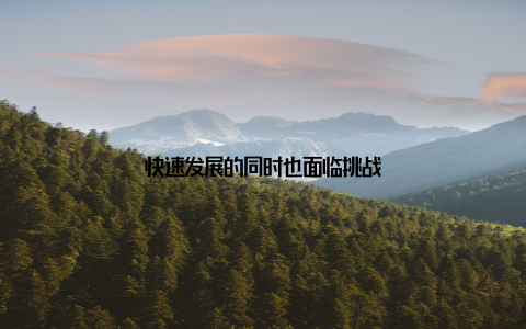 快速发展的同时也面临挑战