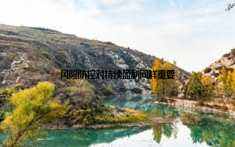 风险防控对持续盈利同样重要