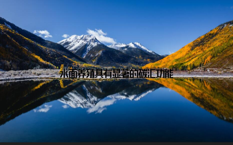 水面养殖具有显著的碳汇功能