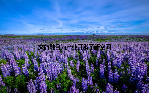 文旅融合为产业开辟了新空间