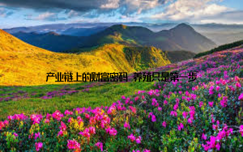 产业链上的财富密码 养殖只是第一步