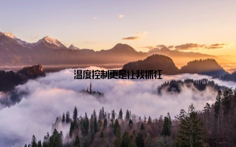 温度控制更是让我抓狂