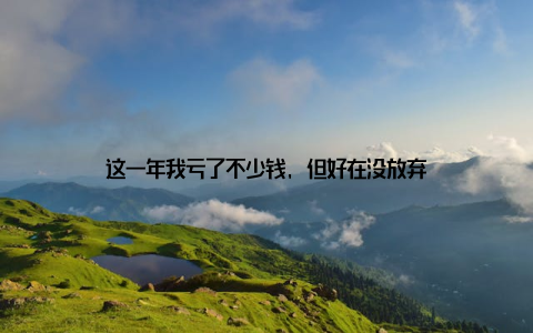 这一年我亏了不少钱, 但好在没放弃