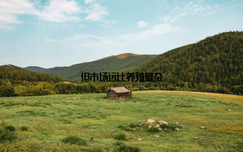 但市场远比养殖复杂
