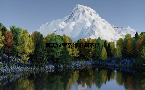 其实这套系统来得不易