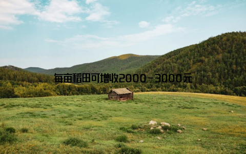 每亩稻田可增收2000-3000元
