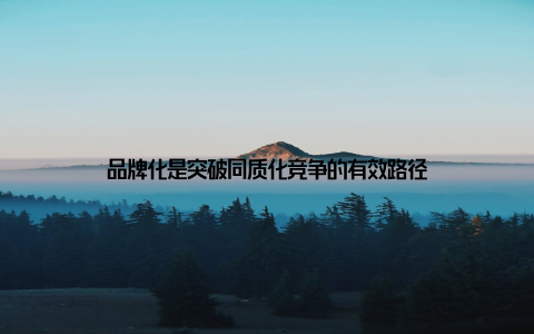 品牌化是突破同质化竞争的有效路径
