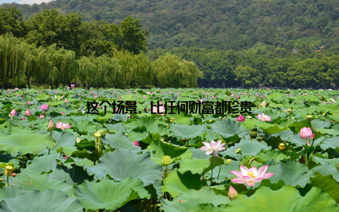 这个场景, 比任何财富都珍贵