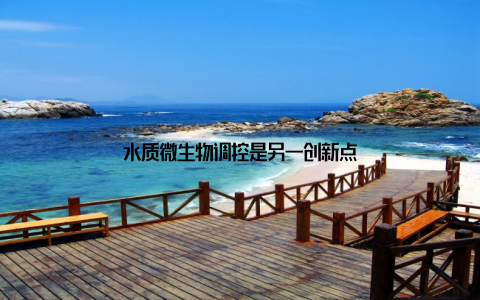 水质微生物调控是另一创新点