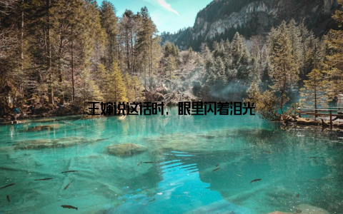 王婶说这话时, 眼里闪着泪光