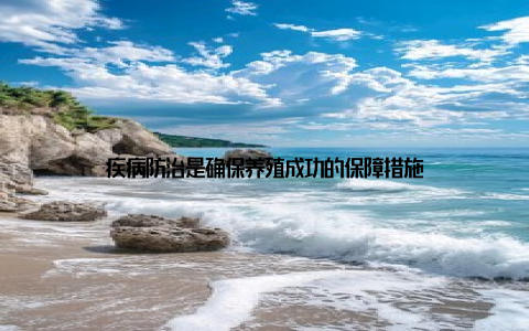 疾病防治是确保养殖成功的保障措施