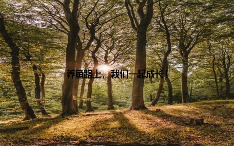 养鱼路上, 我们一起成长!