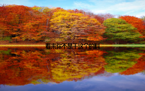 看来你不是干这个的料