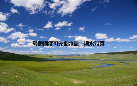 轻微病症可先调水温、换水观察