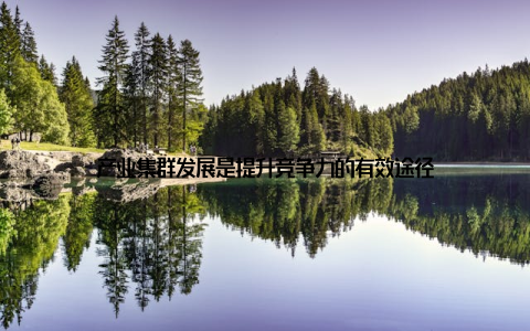 产业集群发展是提升竞争力的有效途径