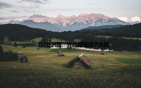 – 投放EM菌、光合细菌调节水质