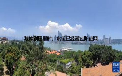 我冲到田里时, 水位已经漫过防逃网