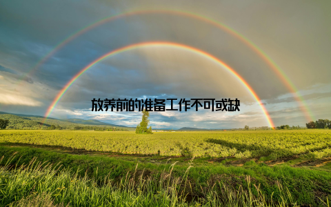 放养前的准备工作不可或缺